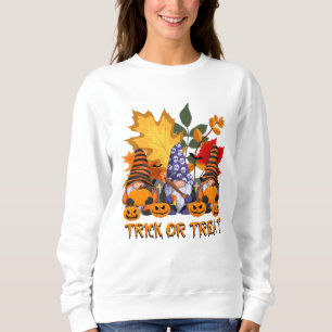 T - Shirt-Sweatshirt probieren oder behandeln Sweatshirt