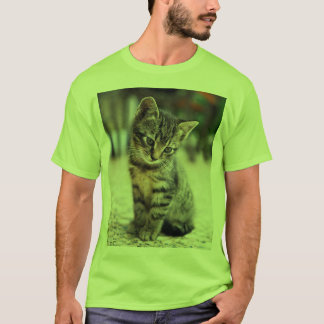T-shirt Sweet Little Cat Lover's Graphic Tee - Men's Shirt