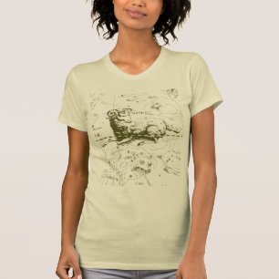 T-shirt SYMBOLE SYRIE vintage CONSTellation Hevelius 1690