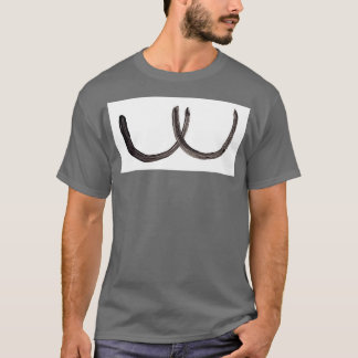 T-shirt Symboles alchimiques Argent Onze