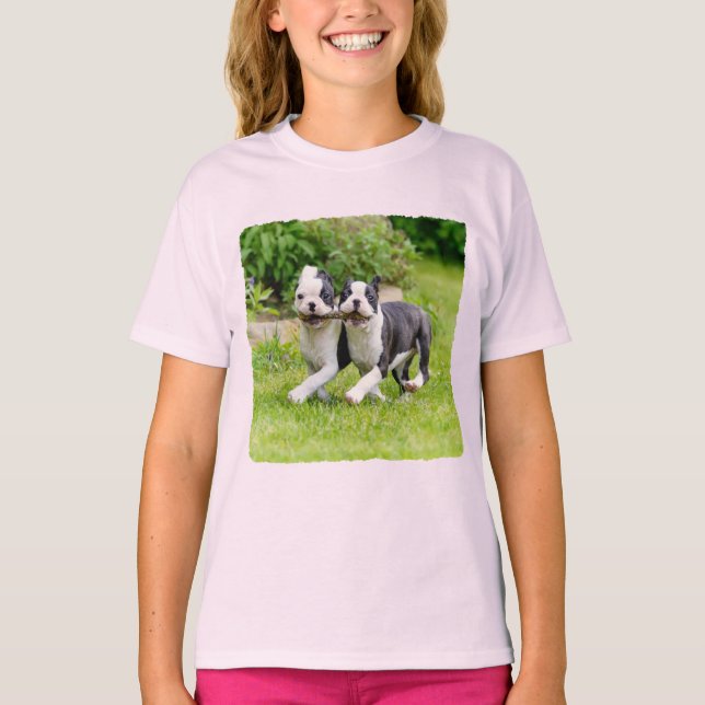 T-shirt Sympa drôles Boston Terrier chiens chiots jouer - (Devant)