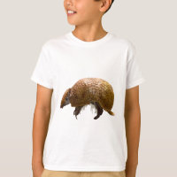 T est pour trois armadillo bannis