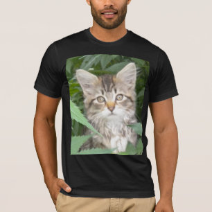 T-shirt Tabby Kitten