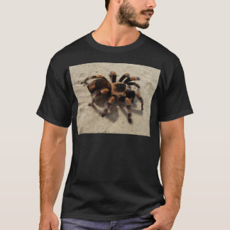 T-shirt Tarantula brachypelma rouge genou toxique