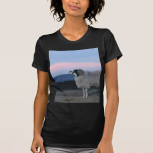 T-shirt Tee - shirt des femmes habillées en noir