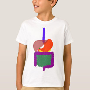 T-shirt Tee système digestif