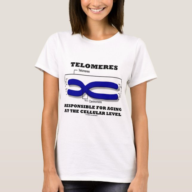 T-shirt Télomères responsables du vieillissement au niveau (Devant)