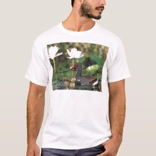 T-shirt Terrain communal Moorhead de Hawaïen