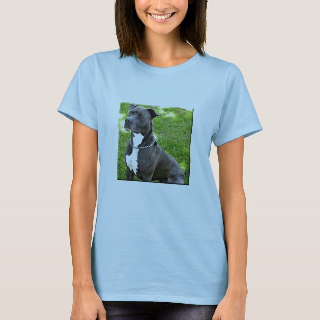T-shirt terrier américain de pitbull (Devant)