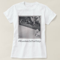 Terrier blond comme les blés dans la ville