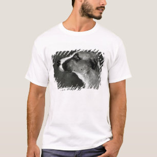 T-shirt Tête de Henri De Toulouse-Lautrec d'un chien
