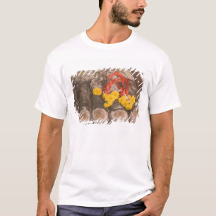 T-shirt Thaïlande, pieds de Bouddha et offrande de Souci