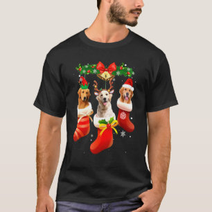 T-shirt Three Golden Retriever In Sock Christmas
