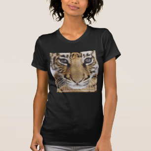 T-shirt Tiger