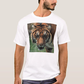 T-shirt Tigre