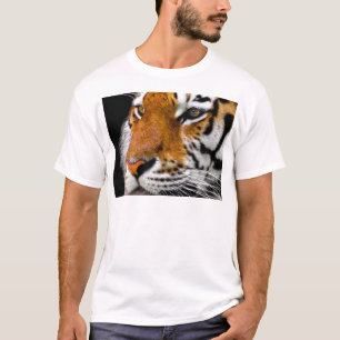 T-shirt Tigre