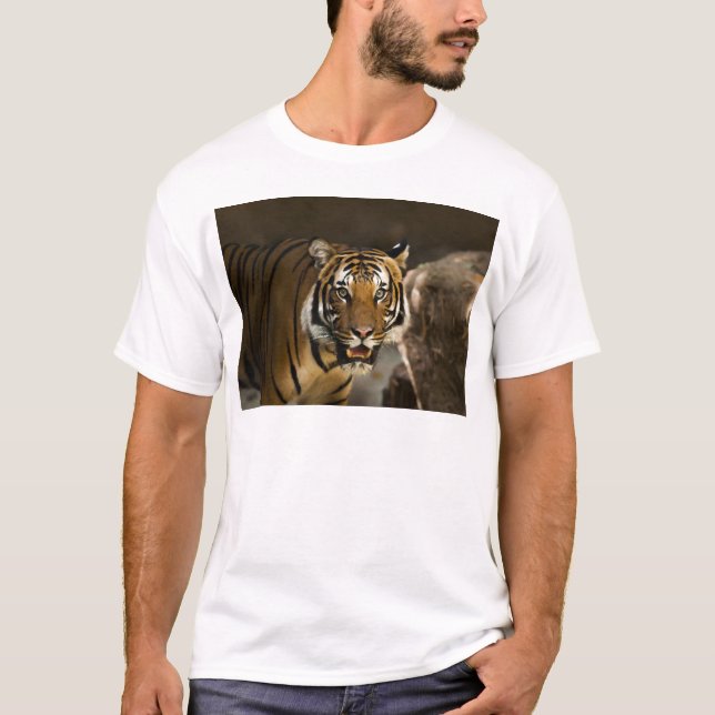 T-shirt Tigre de Sibérie (Devant)
