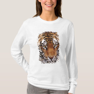 T-shirt Tigre du Bengale, Panthera tigris