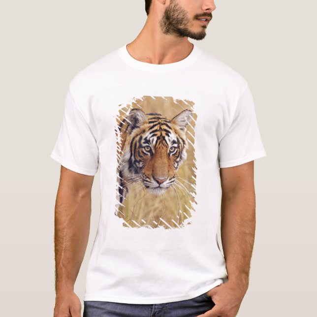 T-shirt Tigre royal du Bengale (Devant)