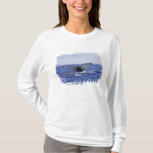 T-shirt TNL, Canada, Terre-Neuve, baie de Trinity. Baleine