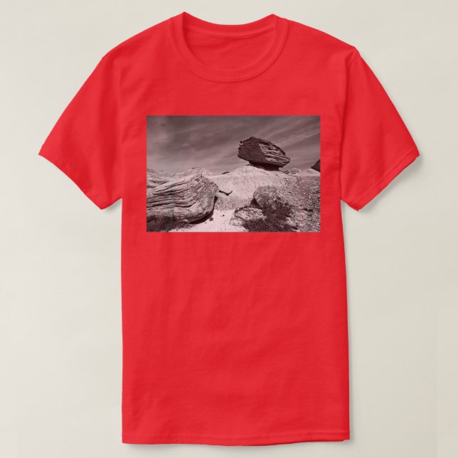 T-shirt Toadstool Geological Park Monochrome (Design devant)