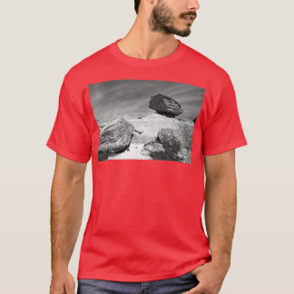 T-shirt Toadstool Geological Park Monochrome