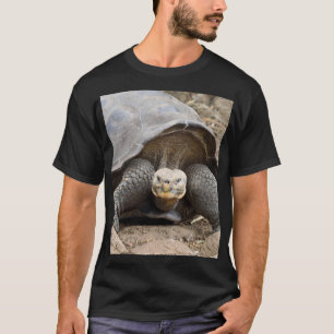 T-shirt Tortue des Galapagos