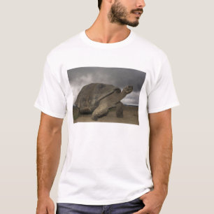 T-shirt Tortue géante des Galapagos Geochelone