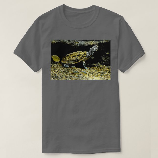 T-shirt Tortue Mata (Design devant)
