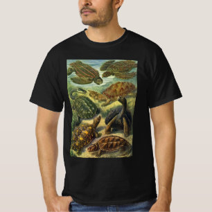 T-shirt Tortues anciennes et tortues de mer par Ernst Haec