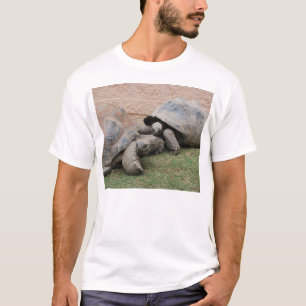 T-shirt tortues géantes