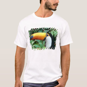 T-shirt Toucan à bec jaune