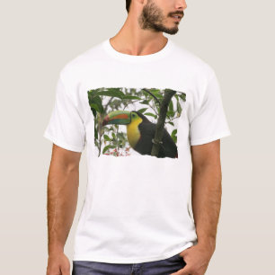 T-shirt Toucan dans la jungle