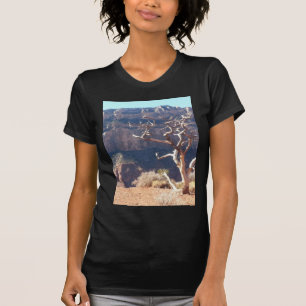 T-shirt Tour du sud de mule de parc national de canyon