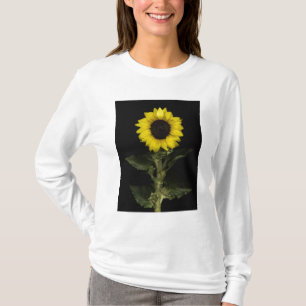 T-shirt Tournesol 11