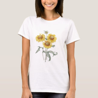 T-shirt tournesols d'art botanique vintage. P.J. Redoute.
