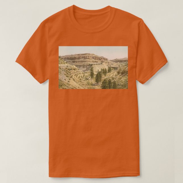 T-shirt train dans le Grand Canyon (Design devant)
