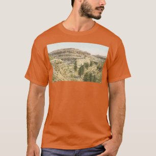 T-shirt train dans le Grand Canyon