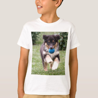T-shirt Tri Coloré Australian Shepherd Pup