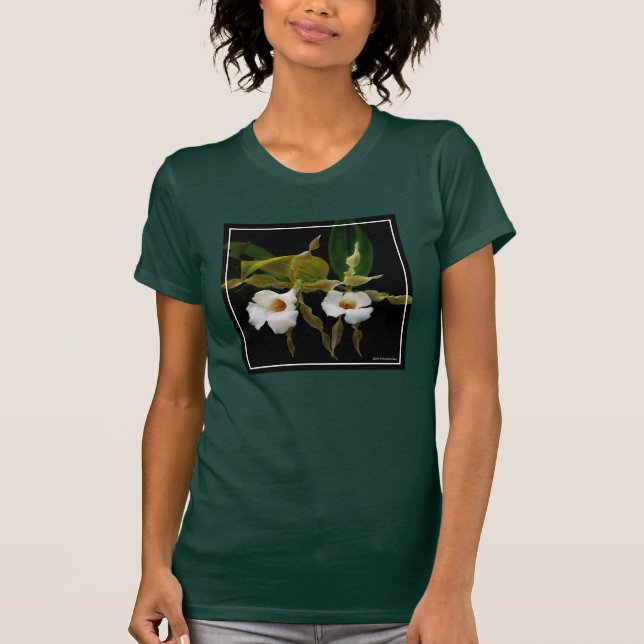 T-shirt Trichopilia Tortilis (Devant)