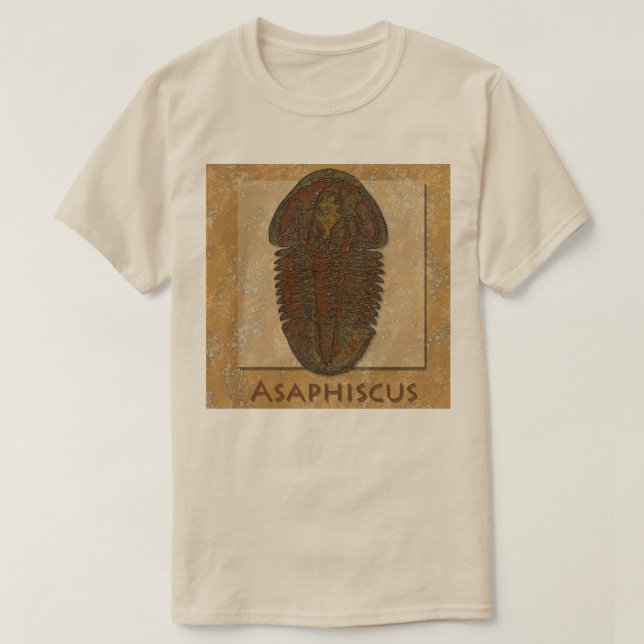 T-shirt Trilobite fossile Asaphiscus (Design devant)