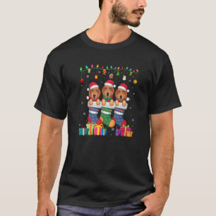 T-shirt Trois Irlandais Wolfhound Chien dans Sock Garçons 