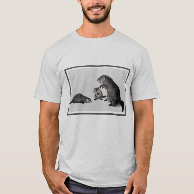 T-shirt Trois marmottes d'Amérique (Devant)