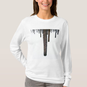 T-shirt Troncs d'arbre dans la neige