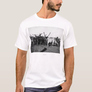T-shirt Troupeau de renne en photographie de l'Alaska