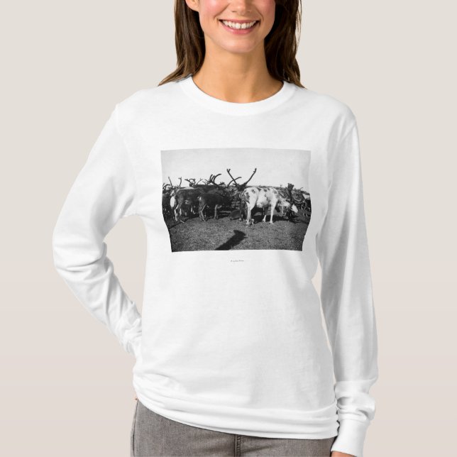 T-shirt Troupeau de renne en photographie de l'Alaska (Devant)