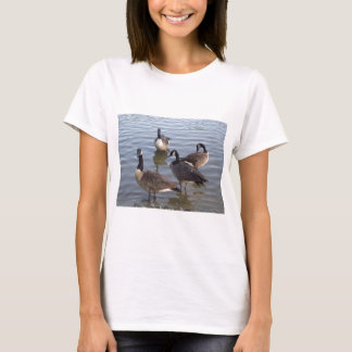 T-shirt Troupeau riant nerveusement des oies