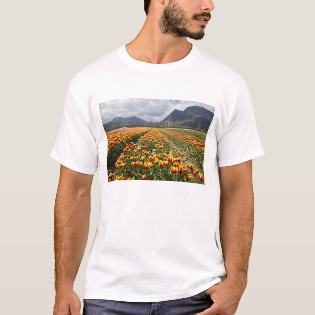 T-shirt Tulip Farm près d'Agassiz, Colombie-Britannique, (Devant)