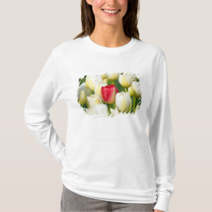 T-shirt Tulipe rouge dans un domaine des tulipes blanches