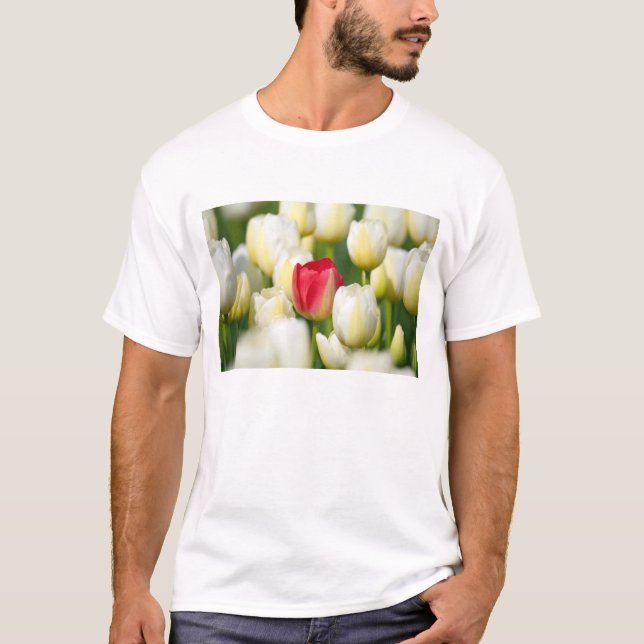 T-shirt Tulipe rouge dans un domaine des tulipes blanches (Devant)